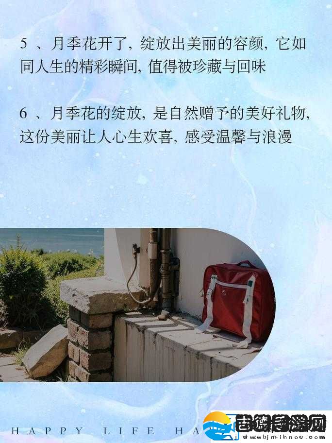 乖我们换个姿态最火