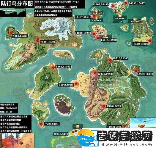 探索创造与魔法新版寻找神秘陆行鸟的踪迹