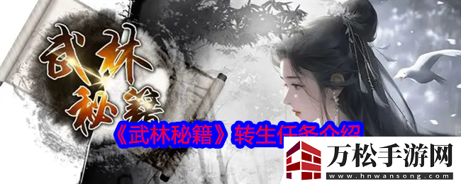 武林秘籍怎么转生