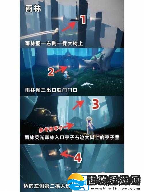 探寻光遇雨林中那些小树苗具体位置全攻略
