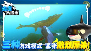 逆水寒手游交易行在哪里？探索交易行功能与使用技巧