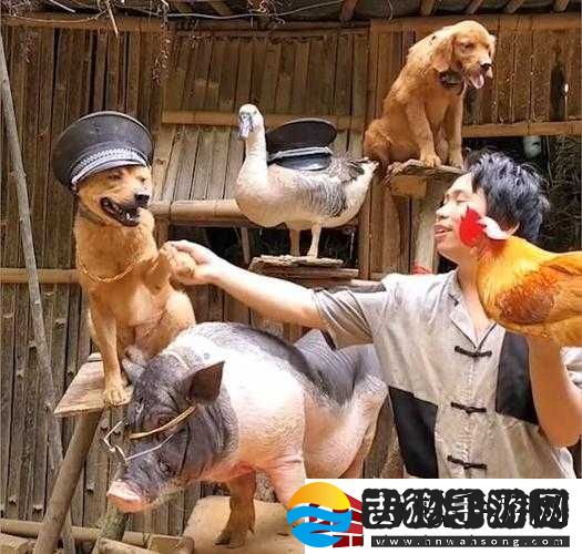人与畜禽corporation